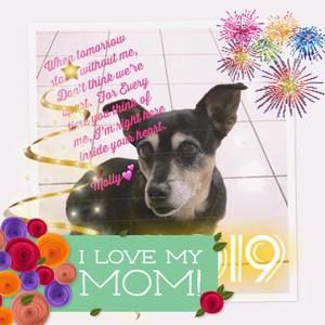 Meet your Posher, Kelly